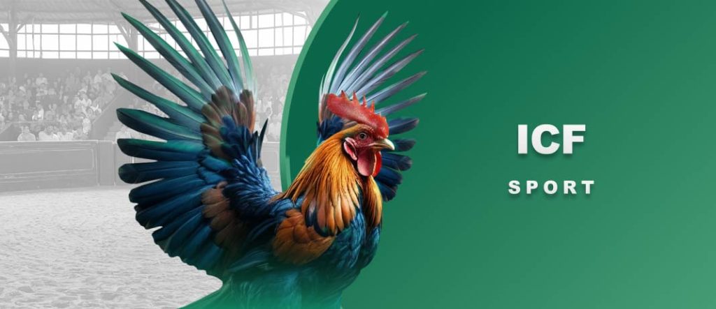 https://e2betviet.top/